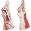 Whole Beef Hindquarter 60-65kg- Sliced to your requirements